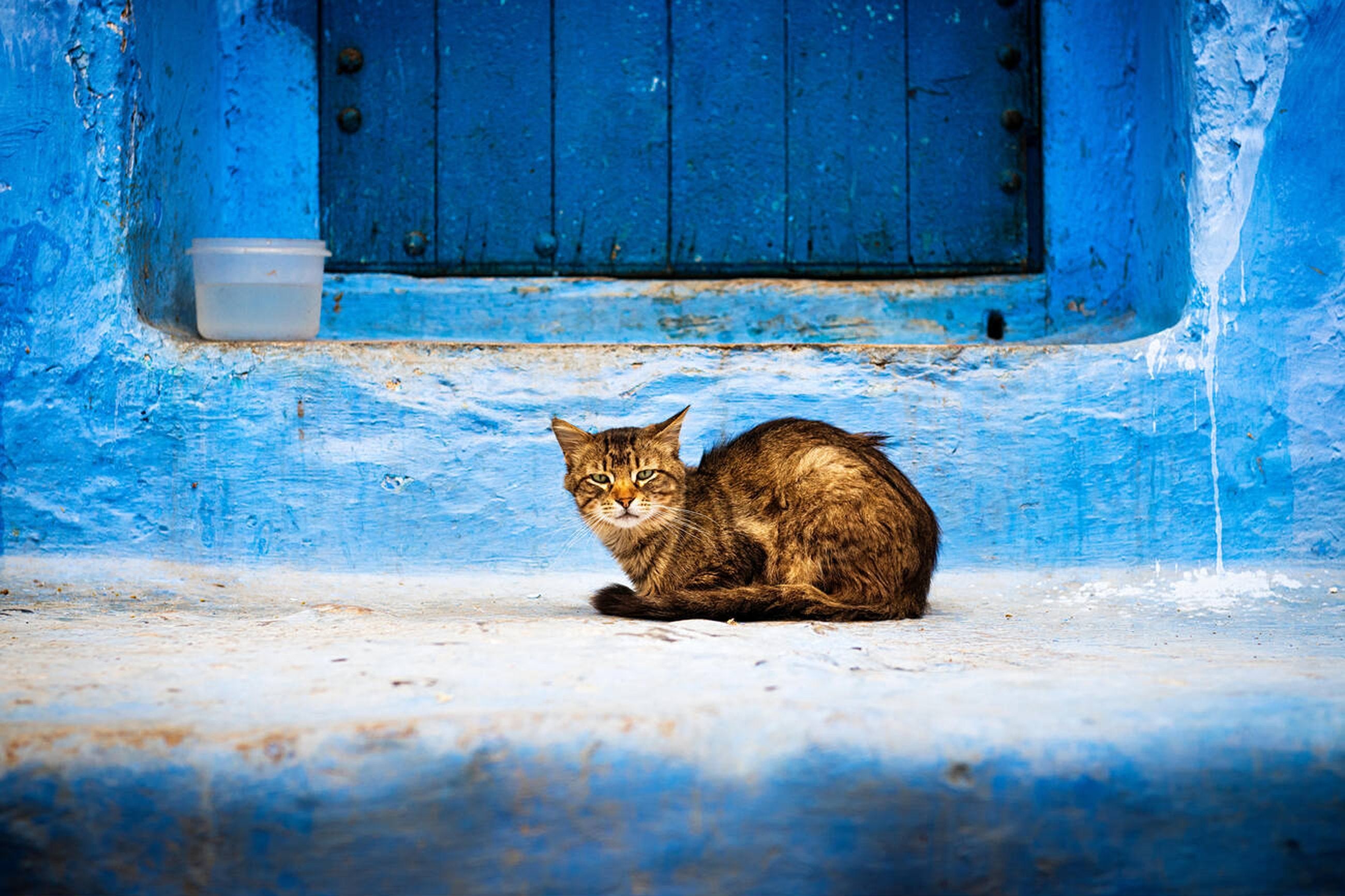 The Blue City of Chefchaouen