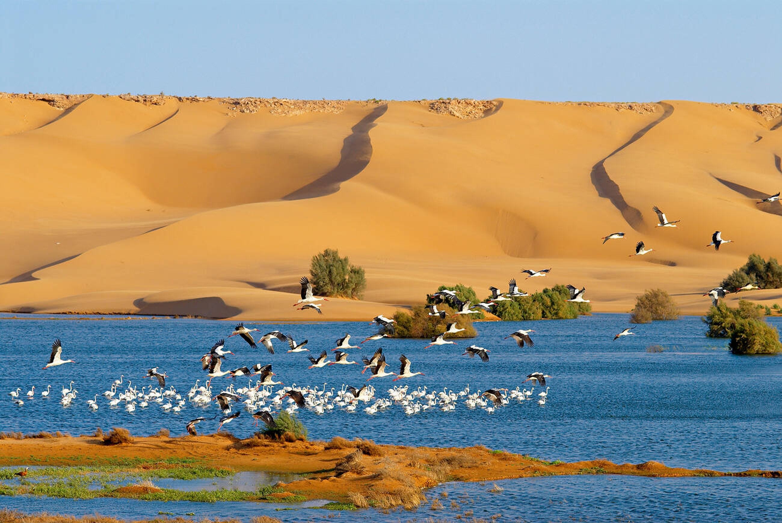 摩洛哥阿尤恩 laayoune morocco