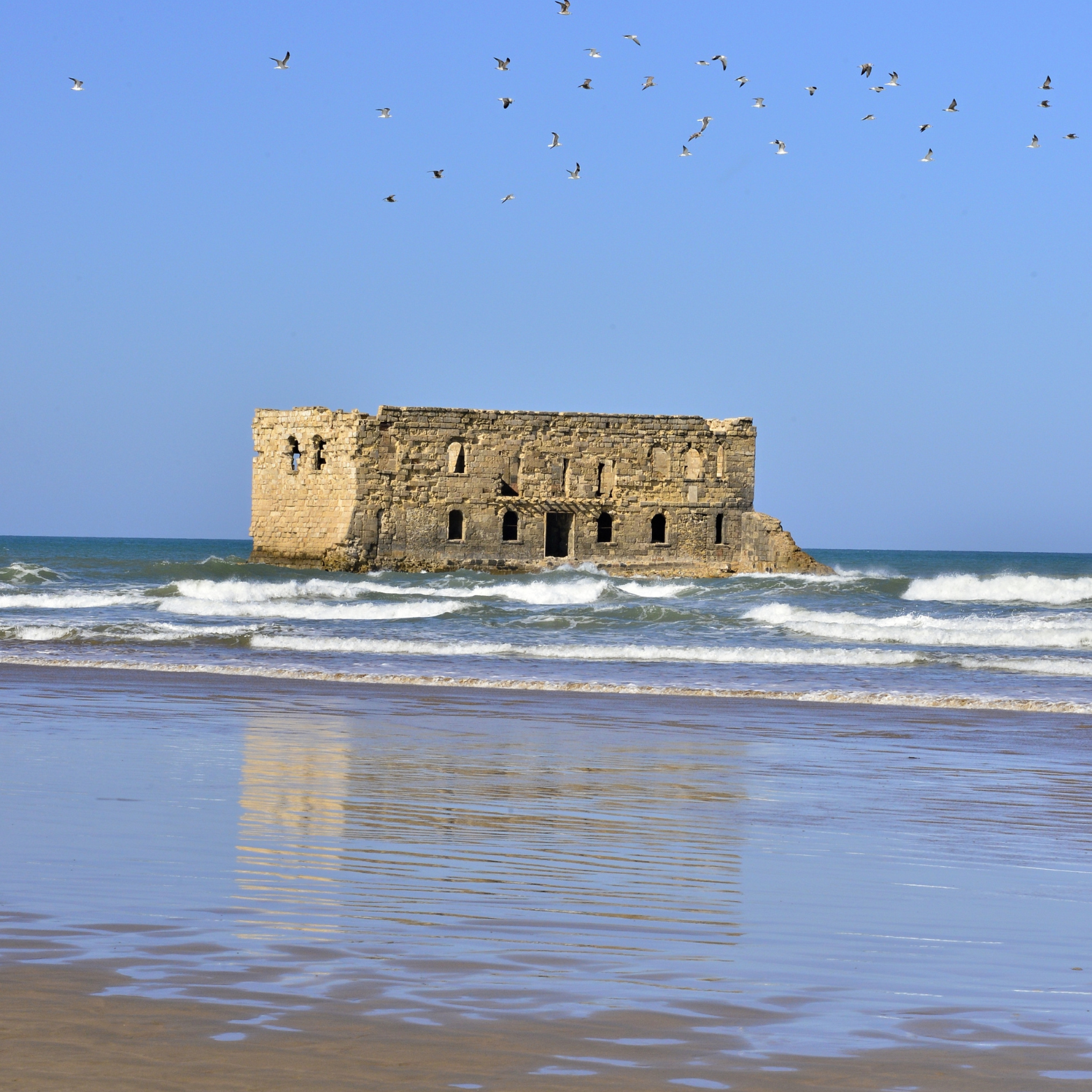 西撒哈拉奇幻探险·经典IP主题之旅